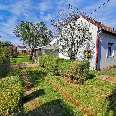 דירות Balatongyörök Dolce Weekend Balaton מראה חיצוני תמונה